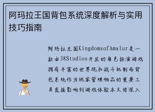 阿玛拉王国背包系统深度解析与实用技巧指南 阿玛拉王国背包系统深度解析与实用技巧指南